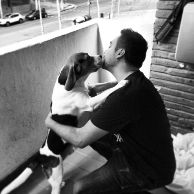 Guia del perro maduro Guia del perro maduro