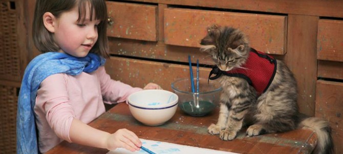 Gatos como terapia en niños con autismo