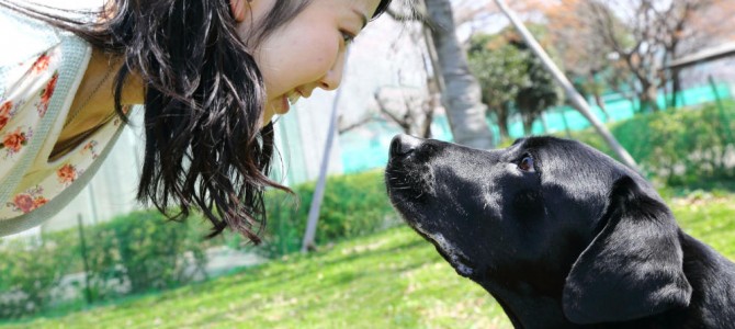Por qué se quiere a un perro