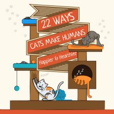 22 formas en las que los gatos nos hacen a los humanos felices y sanos