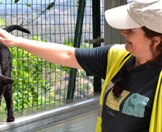 Ayuntamiento de Barcelona, bienestar animal