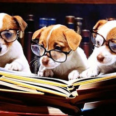 Nutrición, algunas aclaraciones sobre algunos mitos Nutrición, algunas aclaraciones sobre algunos mitos